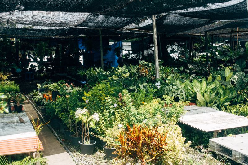 Vegetable garden store display