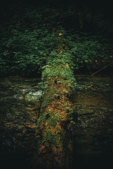 Image by Râmbeț Ioana