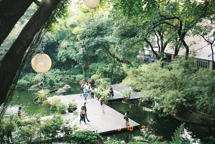 People Walking And Sightseeing On Garden Park