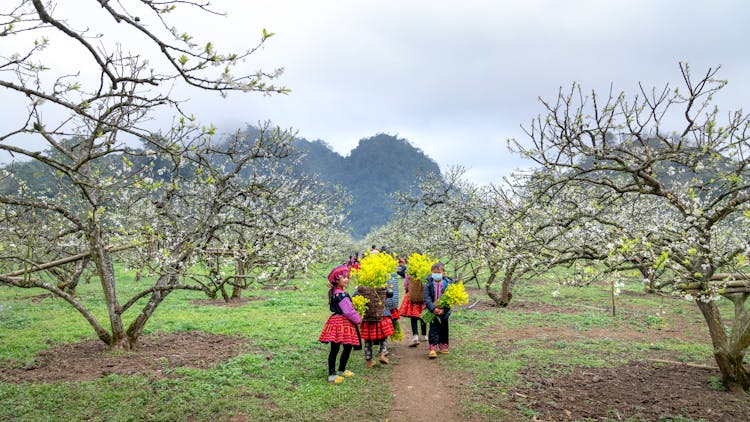 Children Walking In Traditional Wear Holding Yellow Flowers On Park