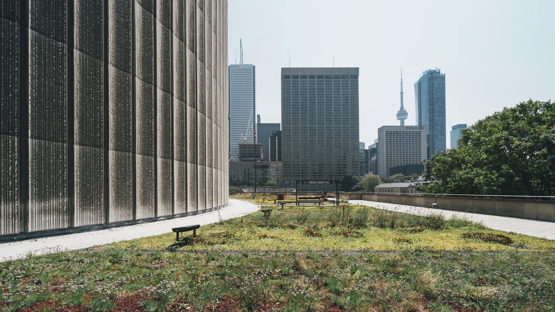 A sustainable rooftop garden with a view of the Toronto skyline, featuring modern architecture.