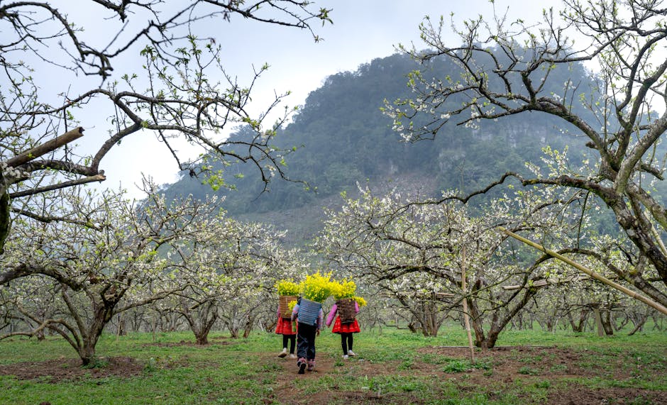 A sun-dappled Hungarian forest with linden trees in full bloom, villagers gathering blossoms in woven baskets