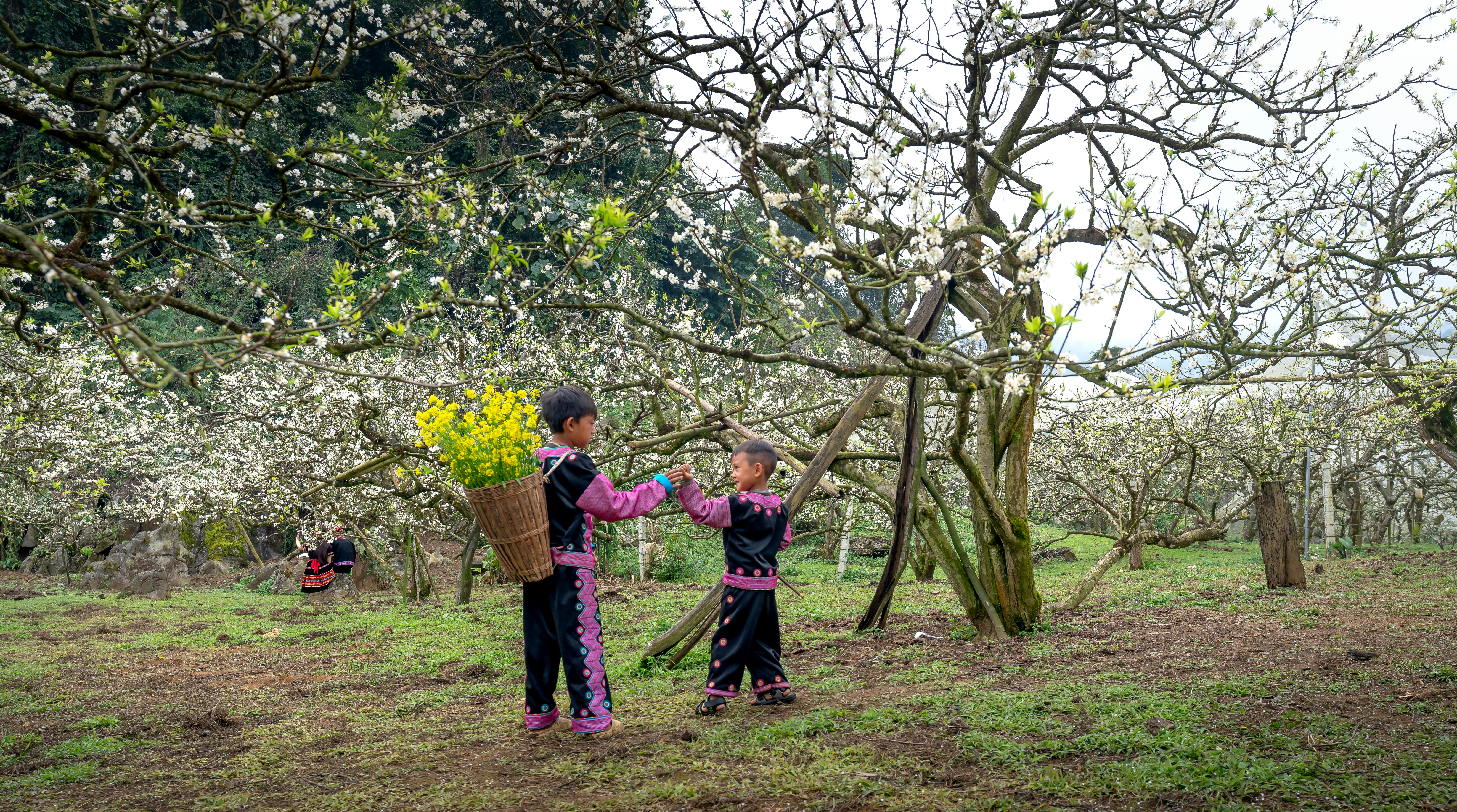 Do boys mature at 25?