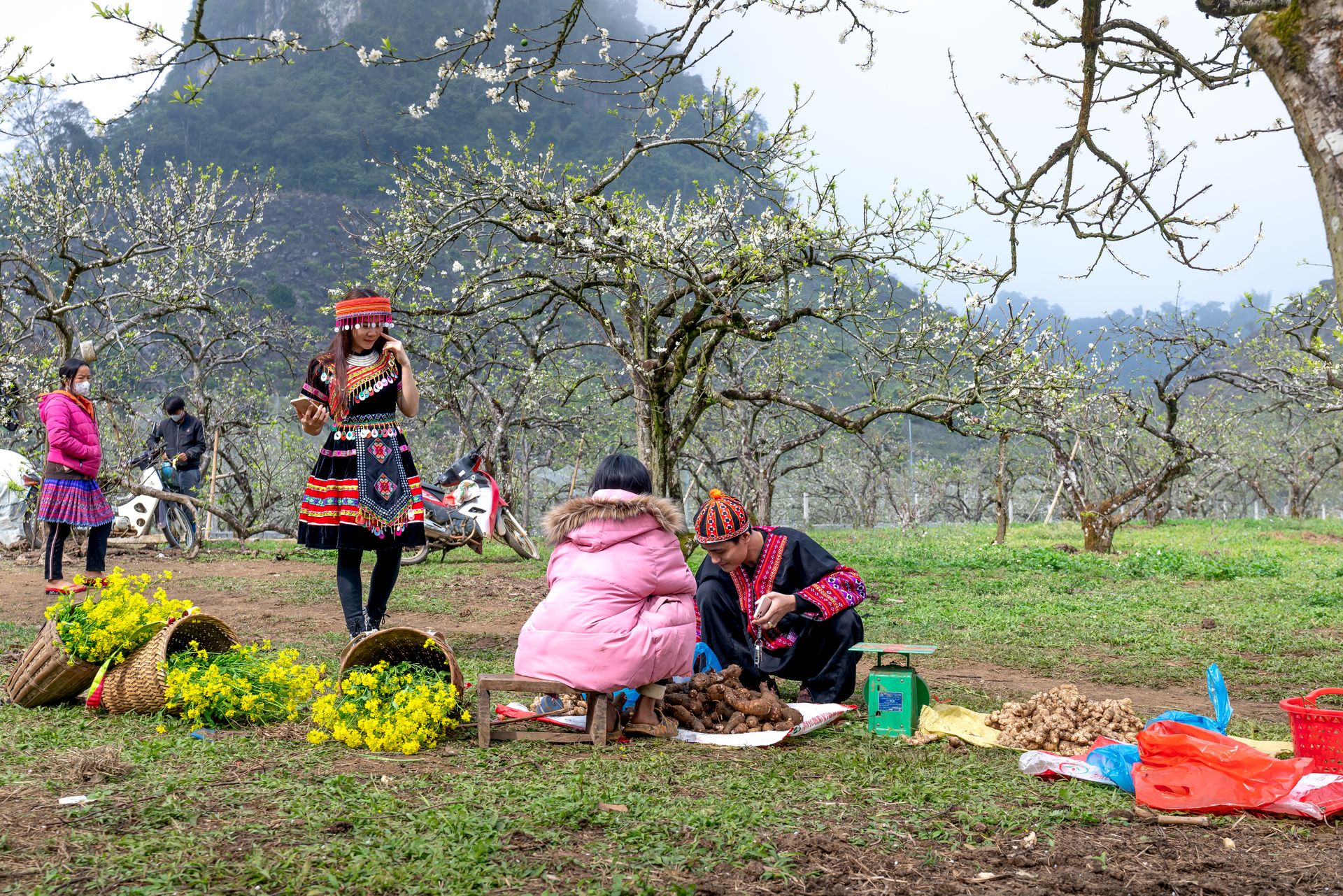 People in traditional attire at a market in a blossoming Vietnamese orchard.
