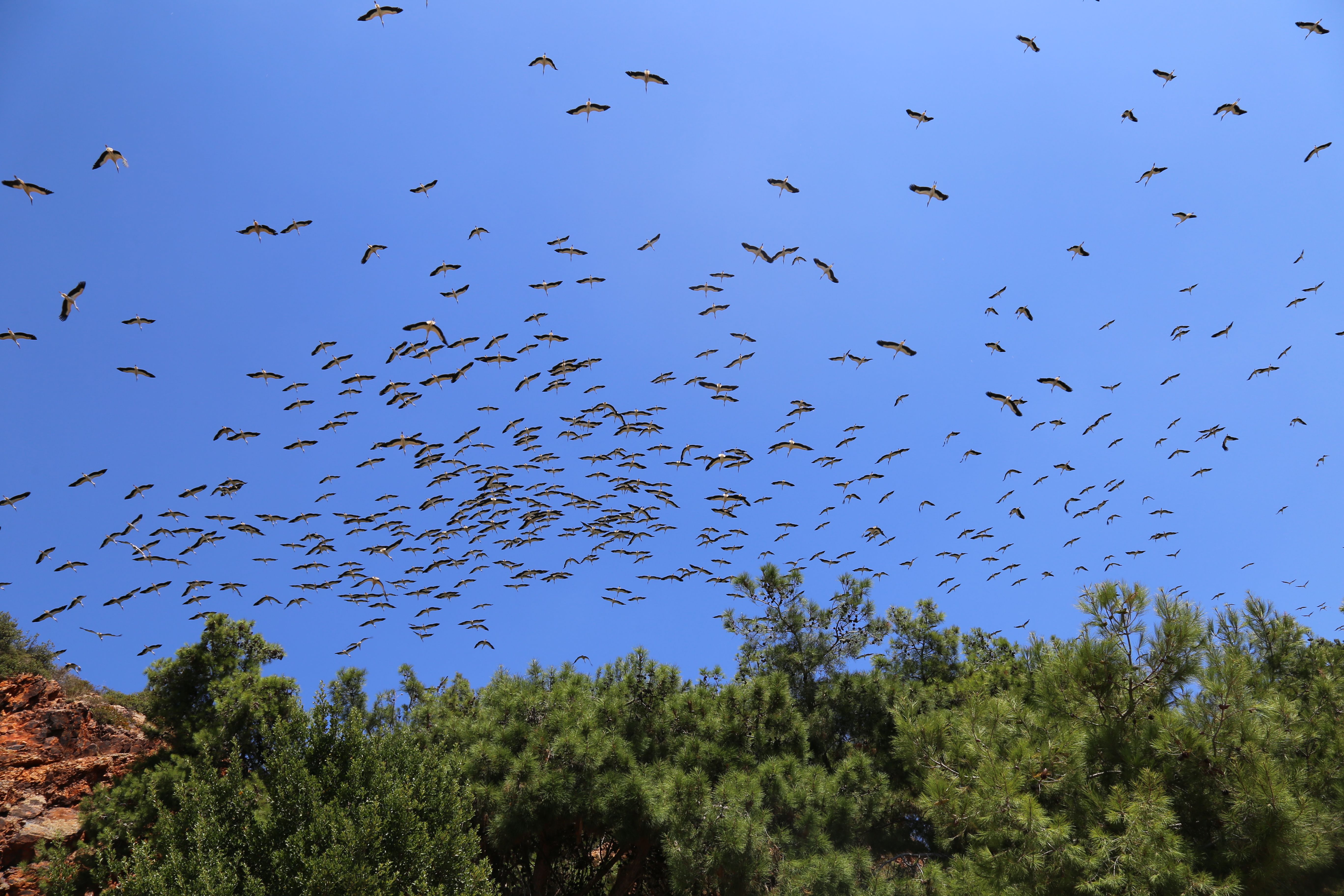 Free Stock Photo Of Adalar Istanbul Kad k y