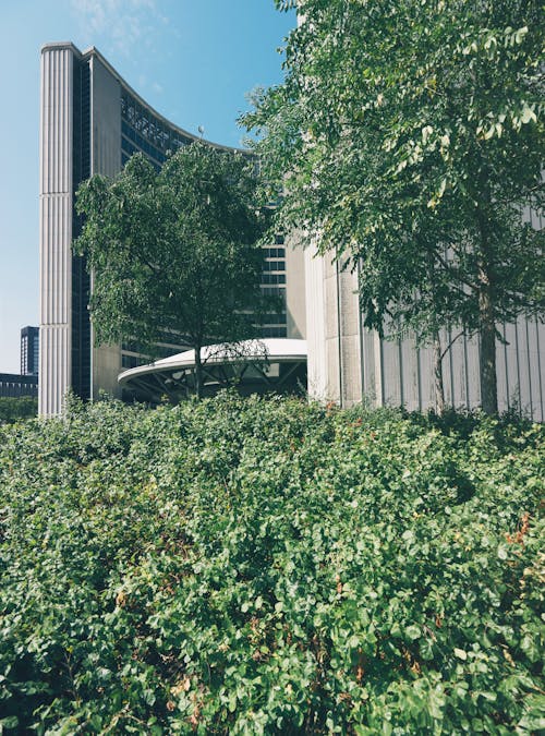 Edificio Beige Cerca De árboles En La Ciudad