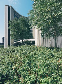 白天，城市建筑与绿色景观令人惊叹地融为一体