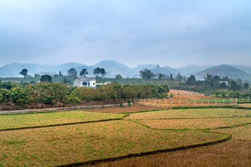 Free Peaceful rural landscape featuring a farm, hills, and a foggy atmosphere. Stock Photo