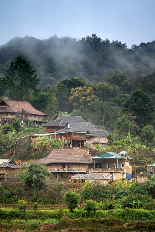 Houses on Hill