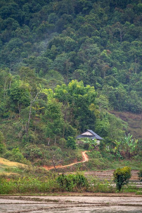 Free A serene countryside scene with a house amidst dense green forest and mountains. Stock Photo