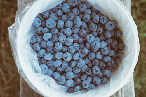 Blueberries in White Sack