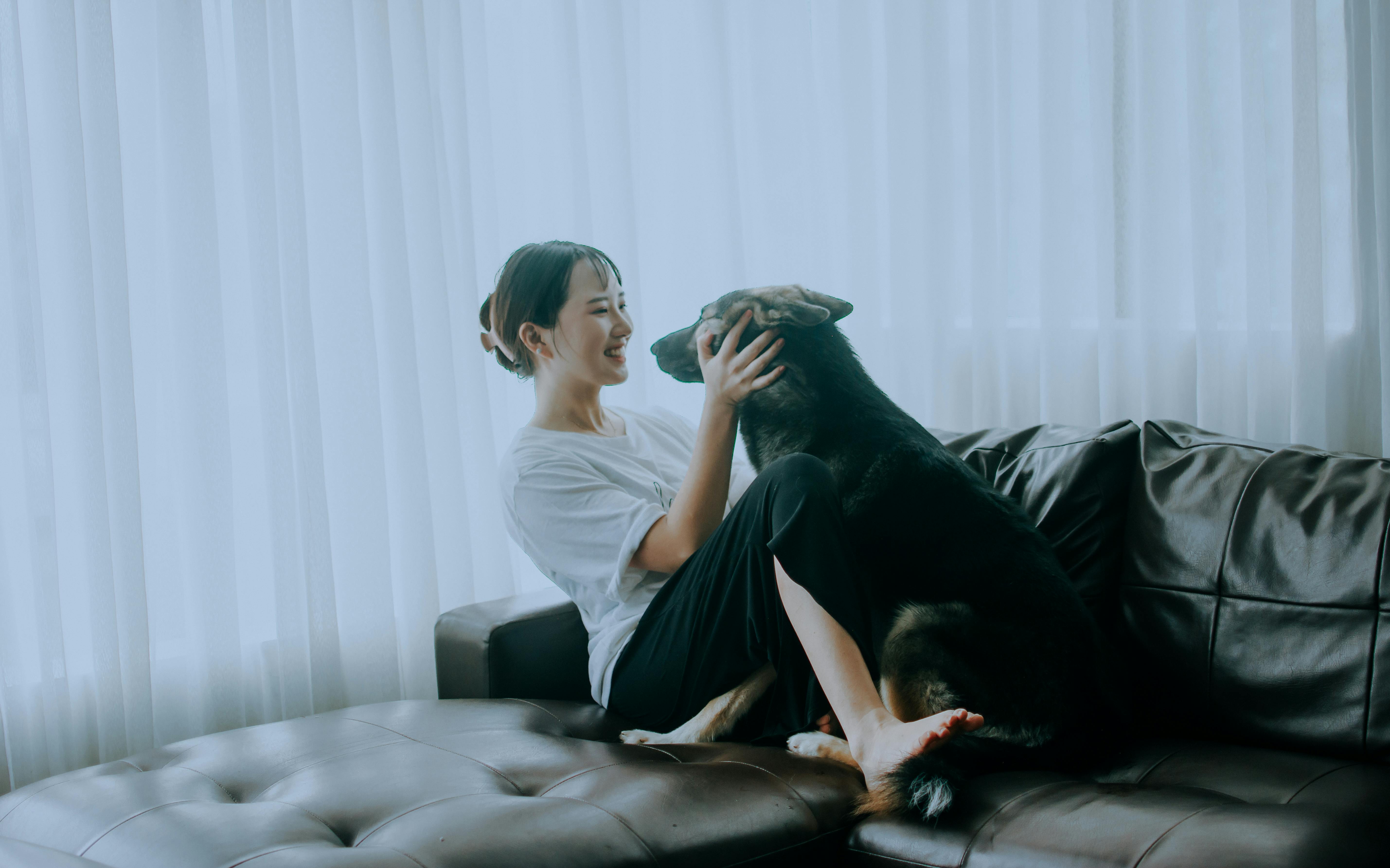 pet lifestyle more lifestyle pets — Photo by Philip Justin Mamelic on Pexels