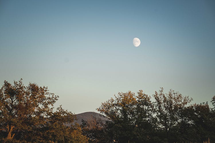 Moon In Sky In Evening