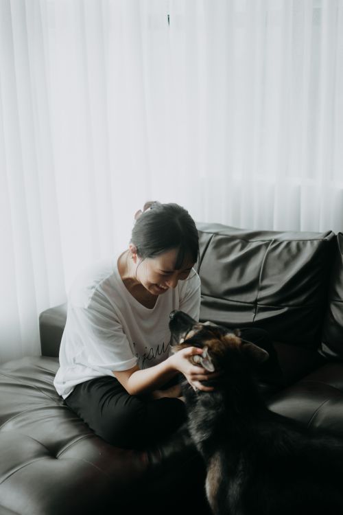 Free Asian woman affectionately interacting with her German Shepherd dog on a comfortable sofa indoors. Stock Photo
