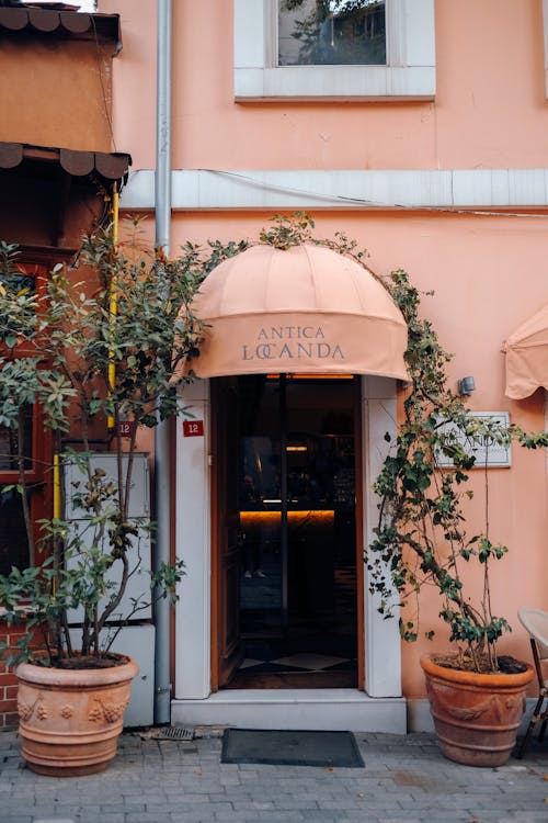 Potted Plants in Between the Entrance of an Establishment