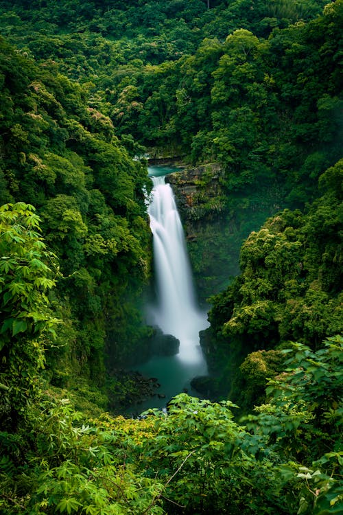 Salto El Limón waterfall surrounded by lush greenery in Samana.