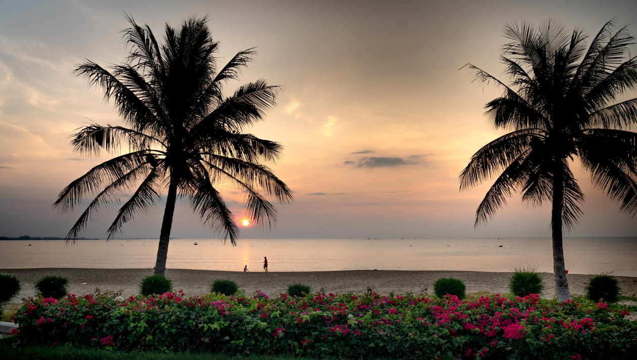 People on the Beach during Sunset