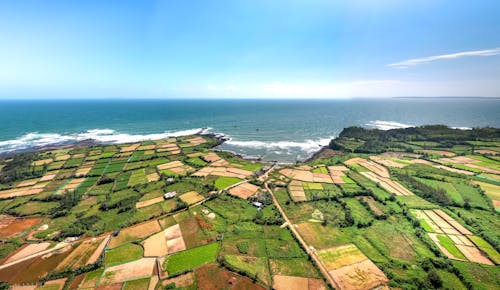 Aerial Photography if Green Field Near a Sea