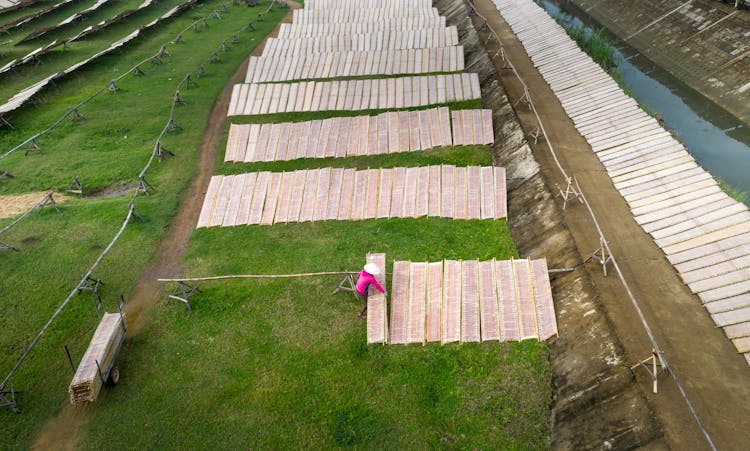 Person Working On Snail Plantation In Countryside