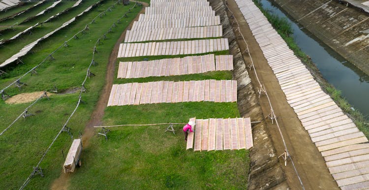 Person Working On Snail Farm In Countryside