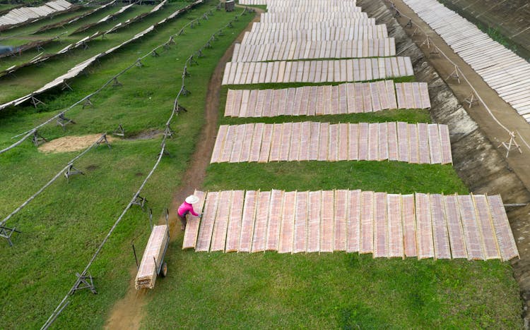 Farmer Working On The Field