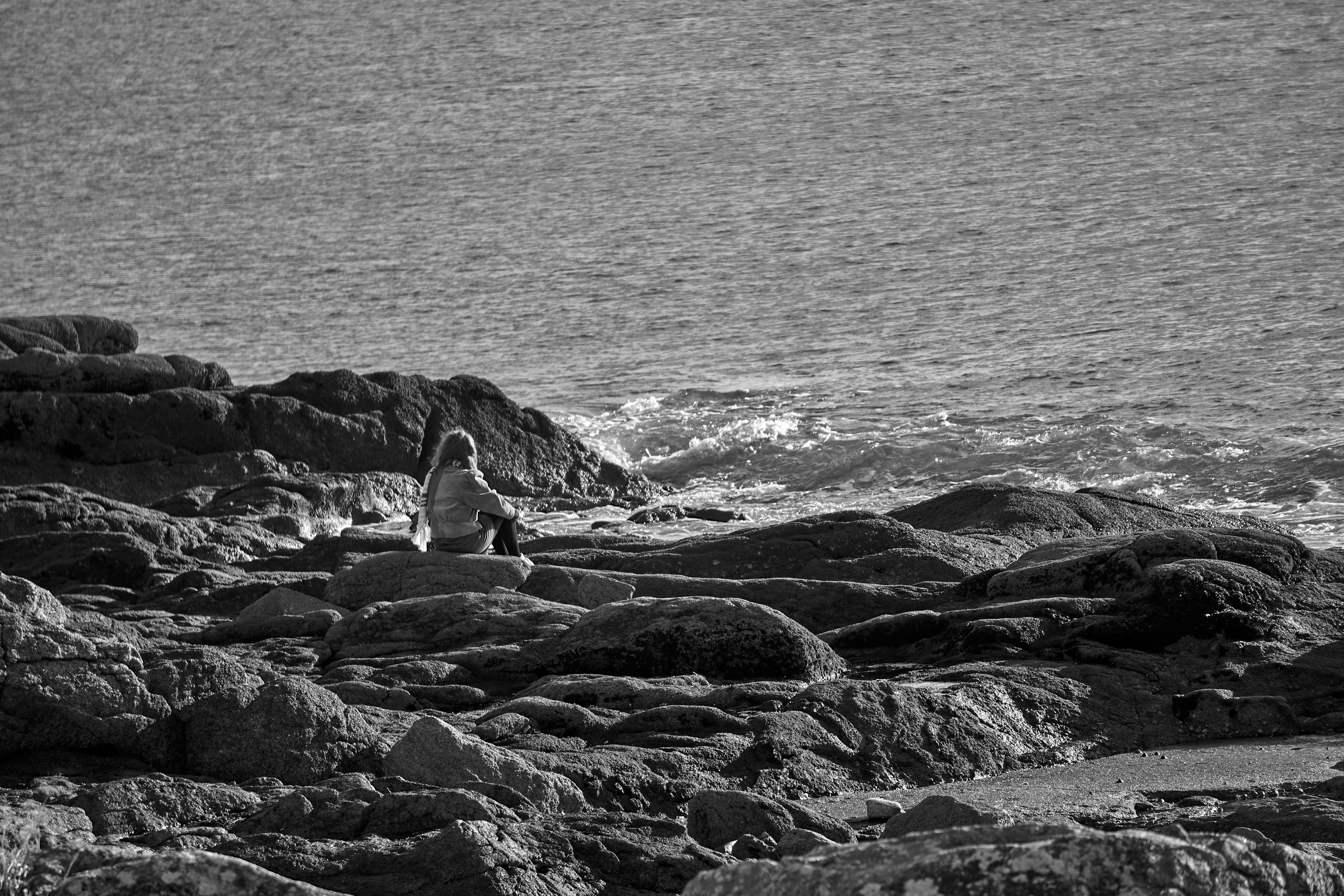 Back View of Person Sitting on the Rocks Near the Ocean · Free Stock Photo