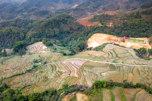 An Aerial View of Rice Paddies in the Mountains