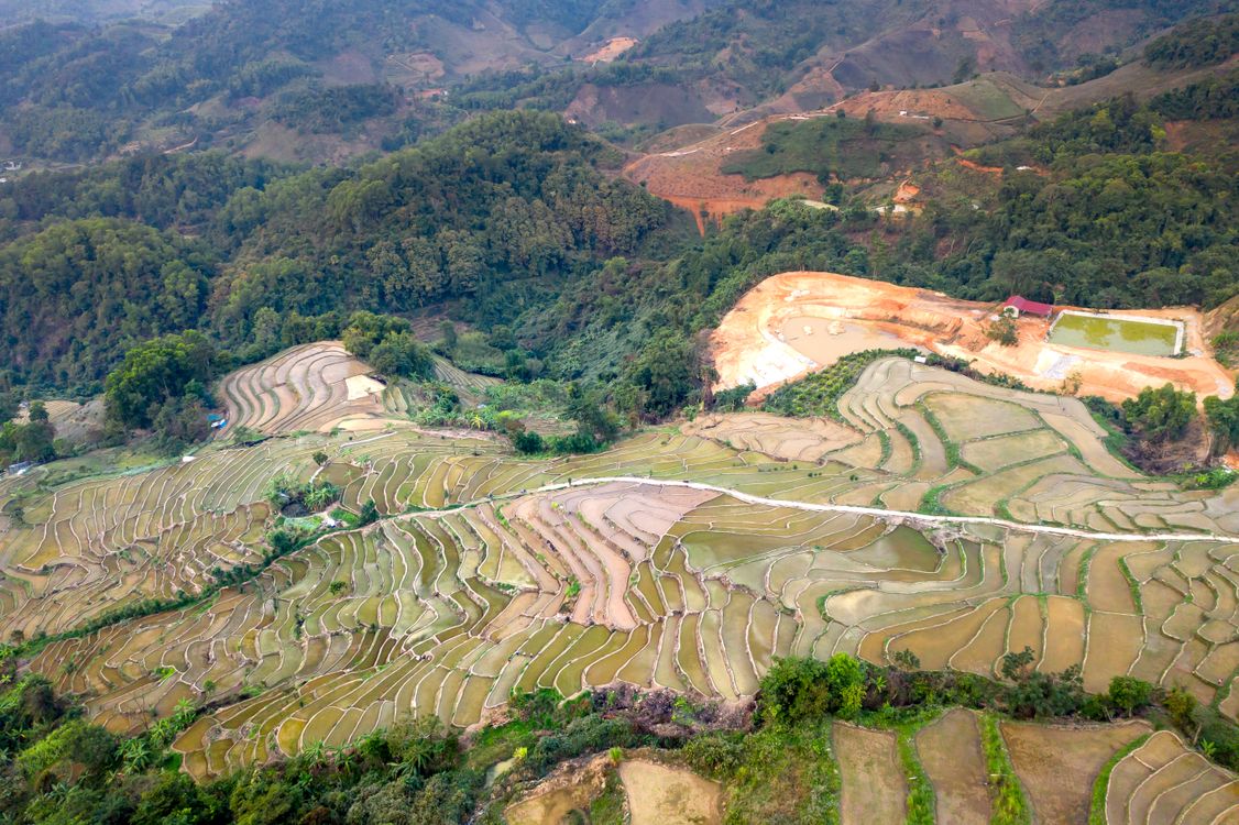 Amazing Rice Paddy An Aerial View of Rice Paddies in the Mountains · Free Stock Photo