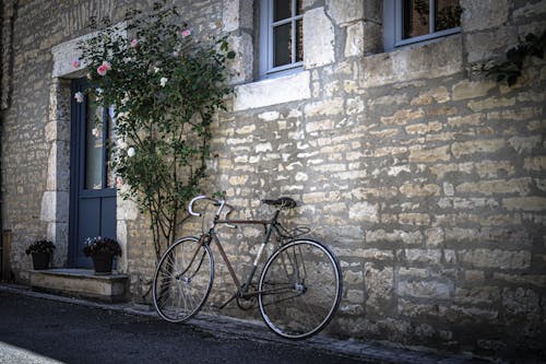 Black Bike Parked Beside Green Plant