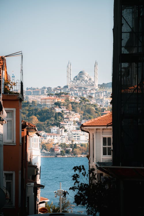 Foto profissional grátis de arquitetura, árvores, balcão