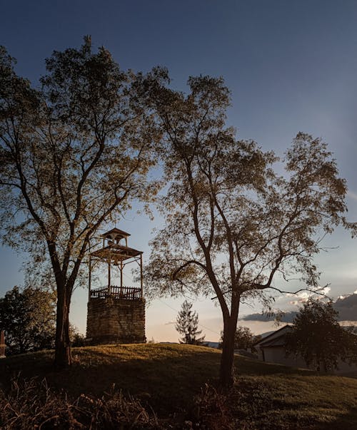 The Bell Tower