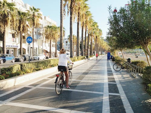 Foto d'estoc gratuïta de a la platja, arbres, assegut