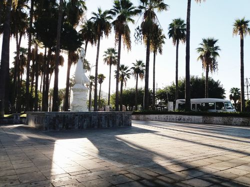Free Marmaris Park Stock Photo