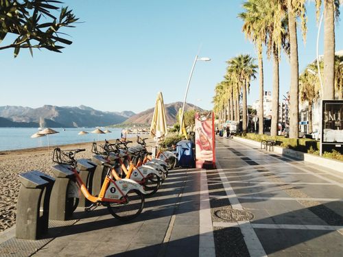 Free Marmaris Palm Beach Stock Photo