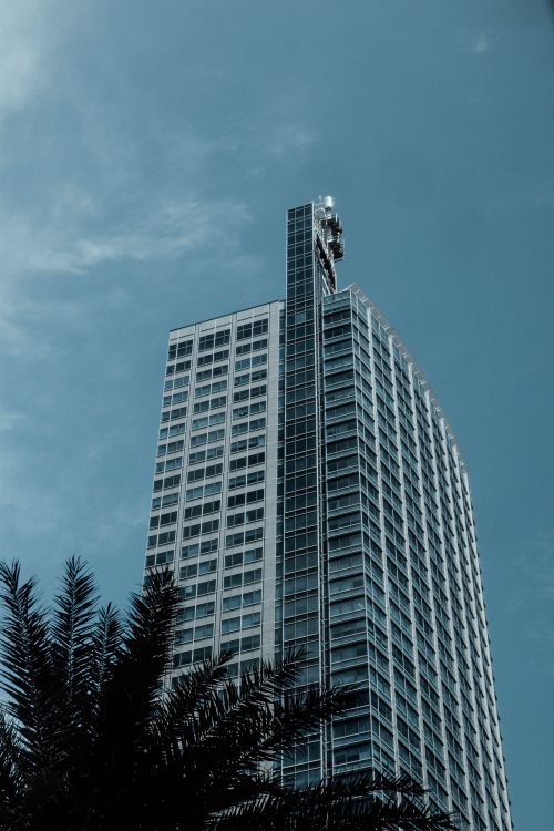 Free Low angle view of a modern skyscraper against a clear blue sky with palm leaves in the foreground. Stock Photo