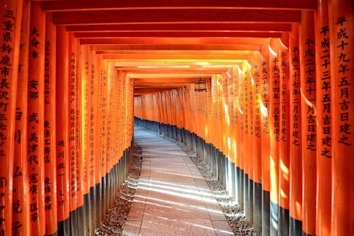 Foto profissional grátis de fushimi inari-taisha, Japão, laranja