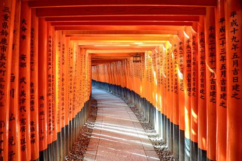 Free Explore the iconic orange torii gate tunnel at Fushimi Inari Taisha Shrine, Kyoto. Stock Photo