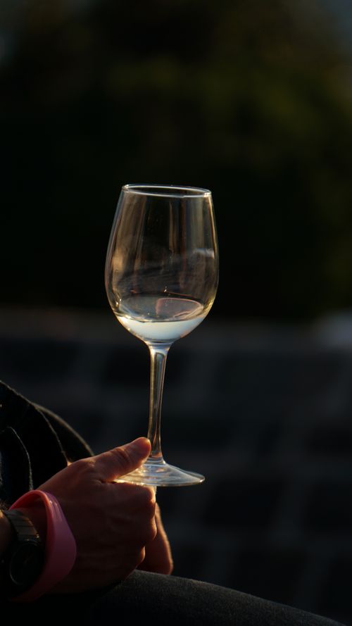 Free Close-up of a hand holding an empty wine glass in moody evening light. Stock Photo