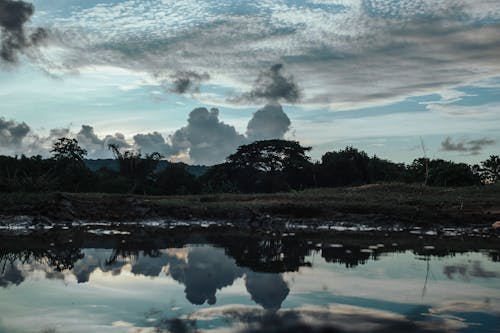 Reflections of Placid Lake and Trees under the White Clouds