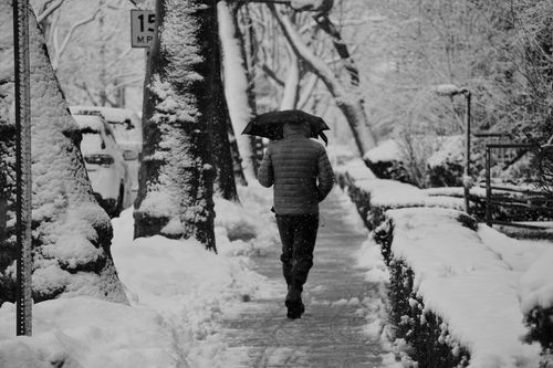 Free Solo figure walking under umbrella on snowy New York street. Black and white winter scene. Stock Photo