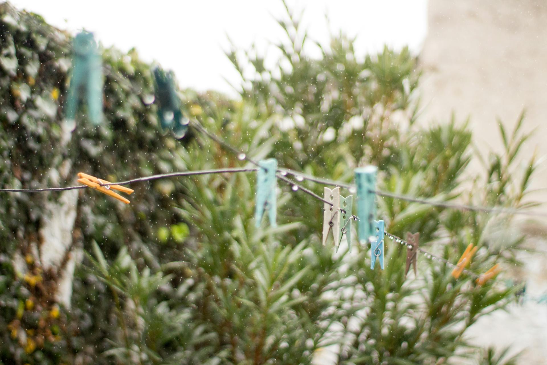 Wet clothesline with colorful clothespins in a lush garden during rain.