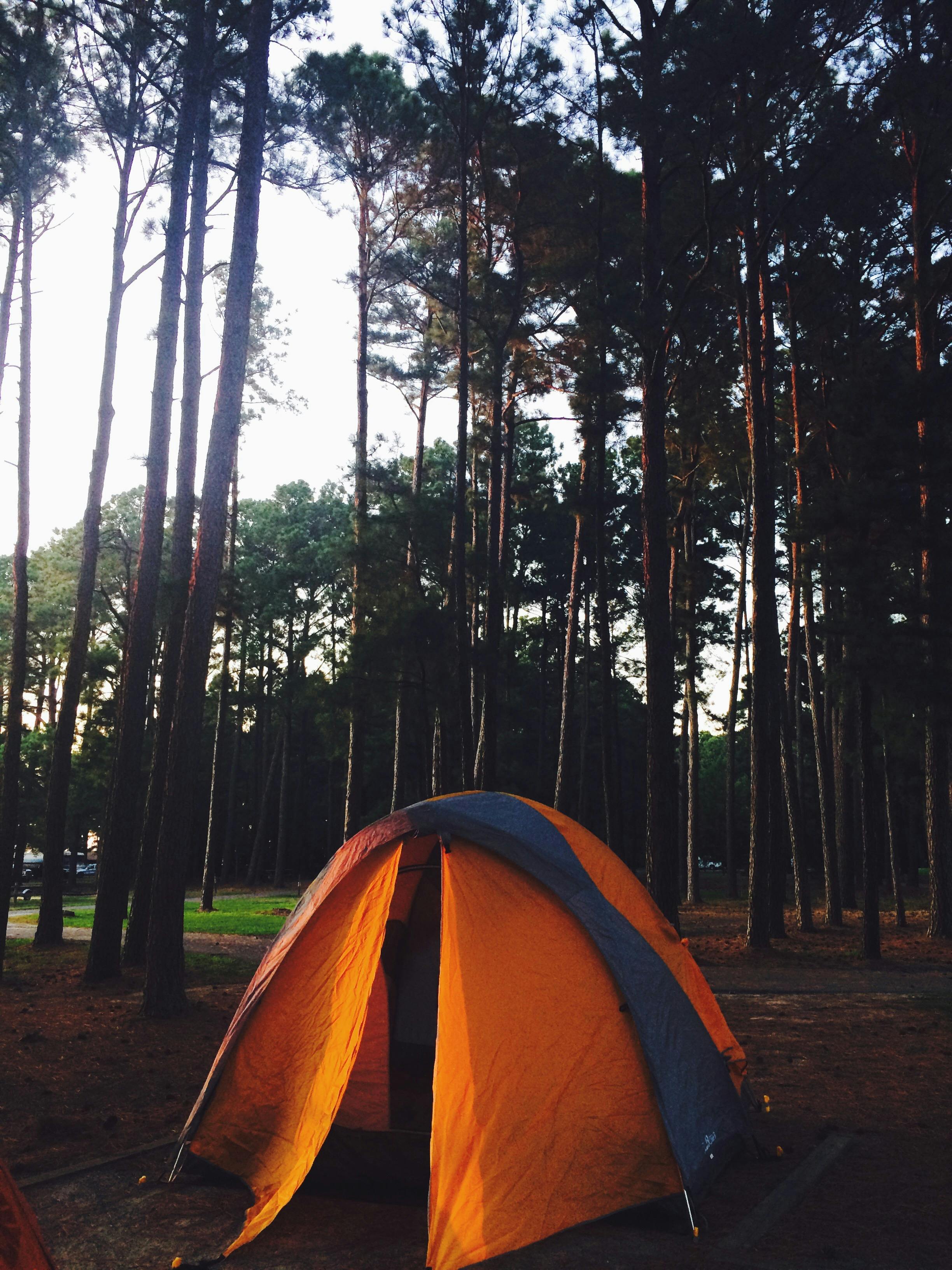 Download Green And Yellow Fruits On Red Plastic Container Free Stock Photo PSD Mockup Templates