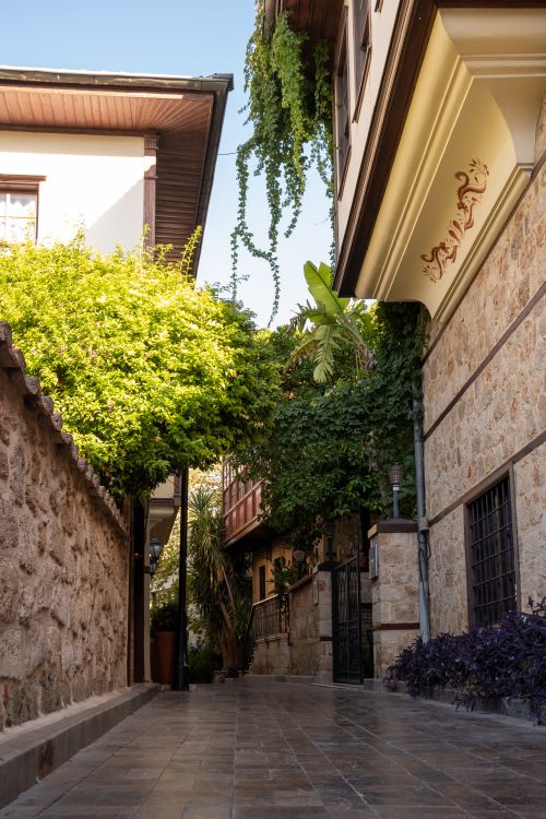 Free A serene narrow alleyway with lush greenery and traditional stone architecture. Stock Photo