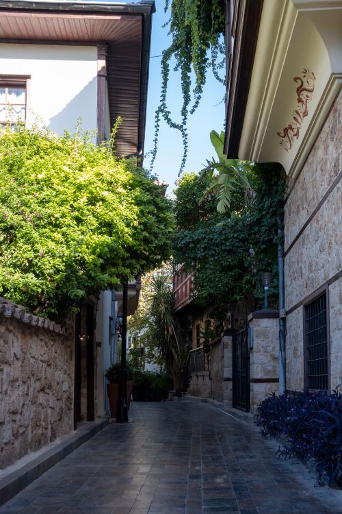 Free Discover a picturesque alleyway lined with lush greenery and classic stone houses, capturing quiet beauty. Stock Photo