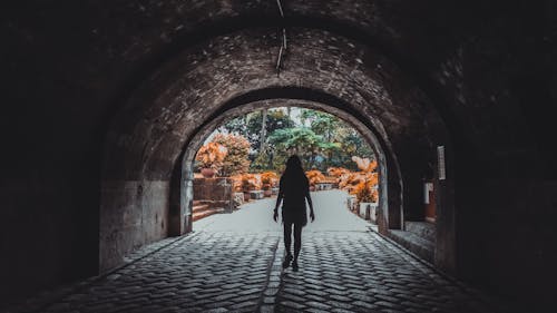 Free stock photo of back view, dark, eerie