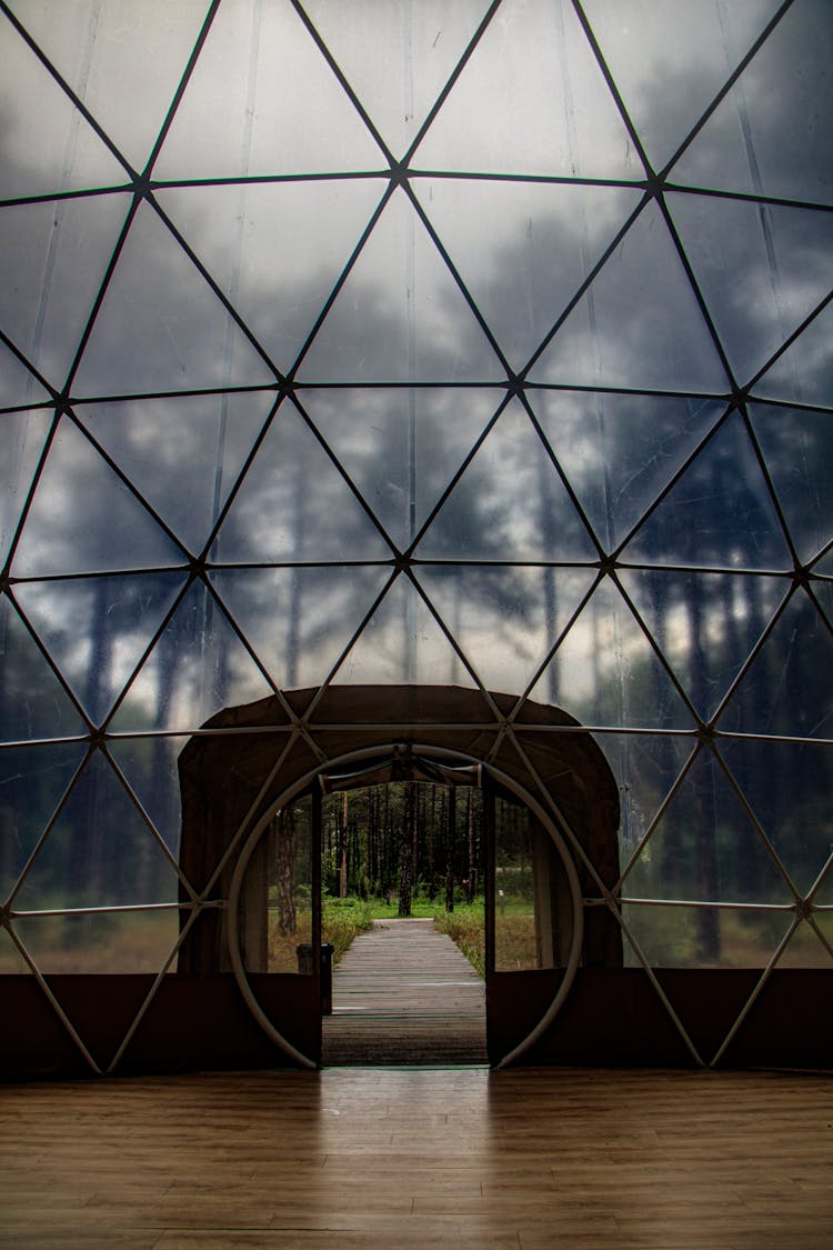 Forest Behind Exit From Futuristic Building