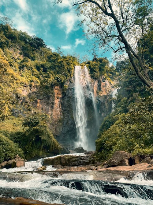 A Waterfalls Streaming on River Between Green Trees at the Mountain