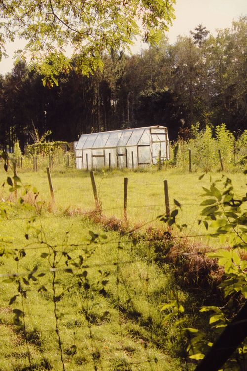 Free Peaceful rural scene with a greenhouse in a sunny green field surrounded by trees. Stock Photo