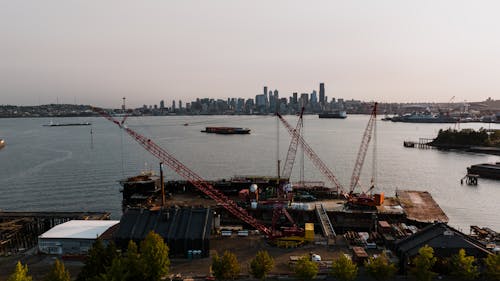 huysuz, kentsel, konteyner gemisi içeren Ücretsiz stok fotoğraf