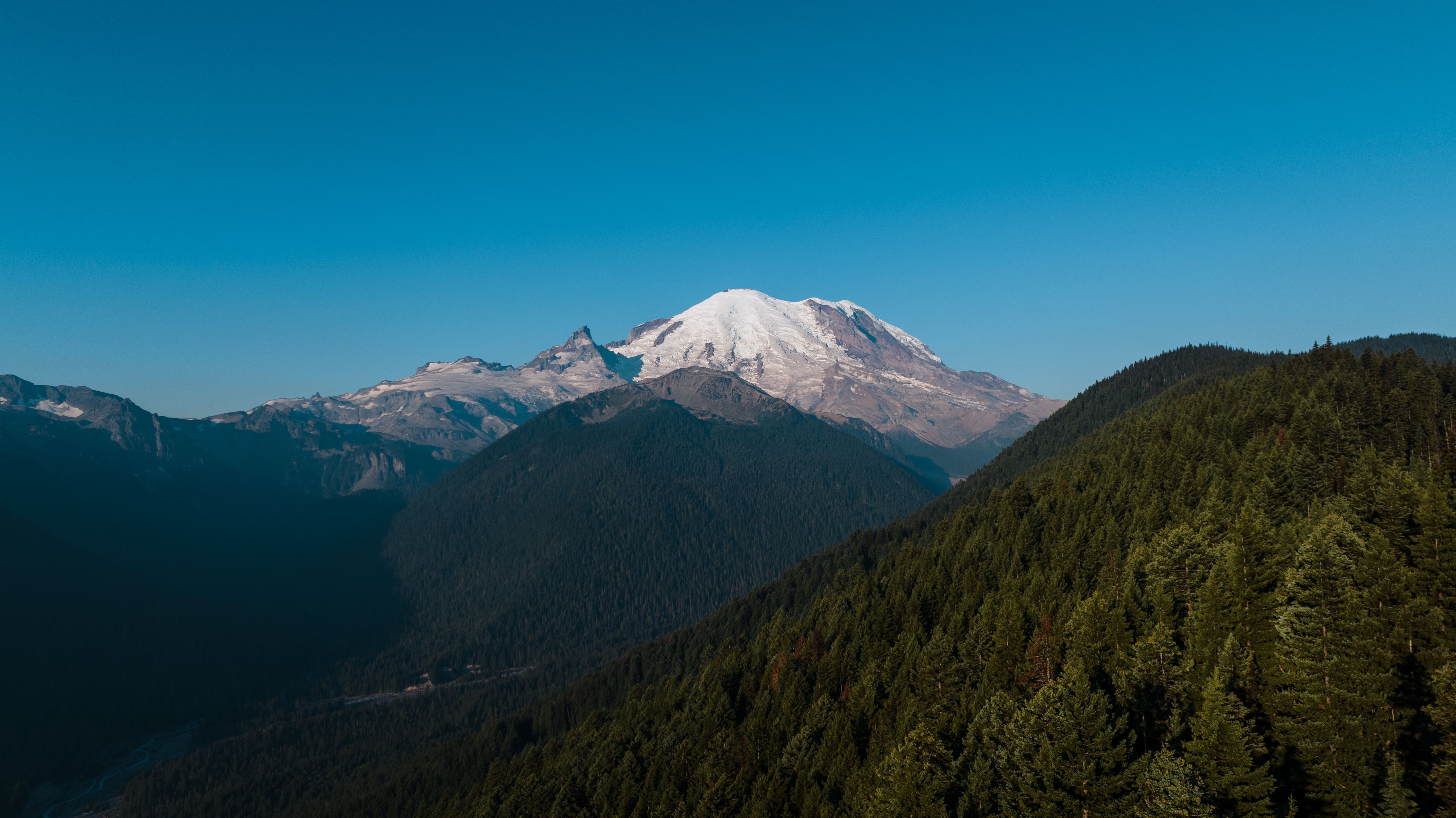Breathtaking view of Mount Rainier surrounded by lush forests under a clear blue sky.
